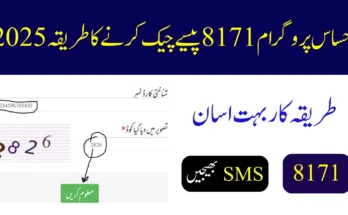 احساس پروگرام 8171 پیسے چیک کرنے کا طریقہ 2025