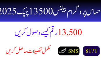 احساس پروگرام بیلنس چیک 2025