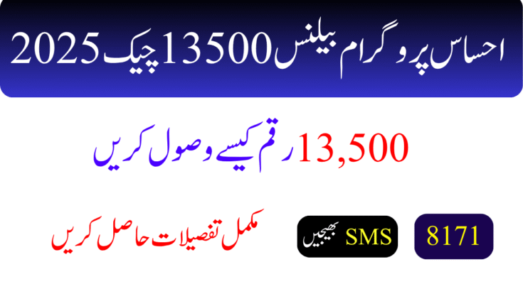 احساس پروگرام بیلنس چیک 2025