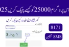 احساس پروگرام 25000 کو کیسے چیک کریں