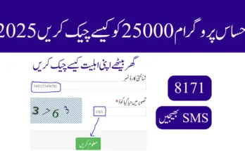 احساس پروگرام 25000 کو کیسے چیک کریں