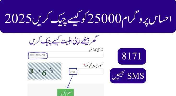 احساس پروگرام 25000 کو کیسے چیک کریں
