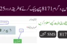 احساس پروگرام 8171 پیسے چیک کرنے کا طریقہ اردو 2025
