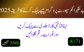 بے نظیر انکم سپورٹ پروگرام پیسے چیک کرنے کا طریقہ