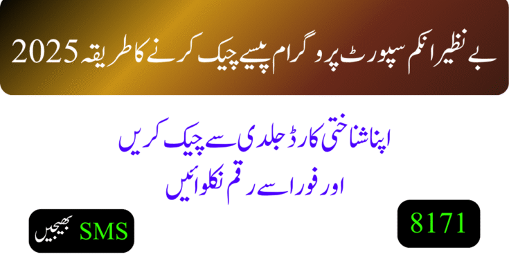 بے نظیر انکم سپورٹ پروگرام پیسے چیک کرنے کا طریقہ