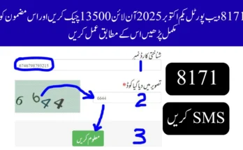 8171 ویب پورٹل یکم اکتوبر 2025 آن لائن 13500 چیک کریں