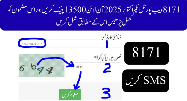 8171 ویب پورٹل یکم اکتوبر 2025 آن لائن 13500 چیک کریں